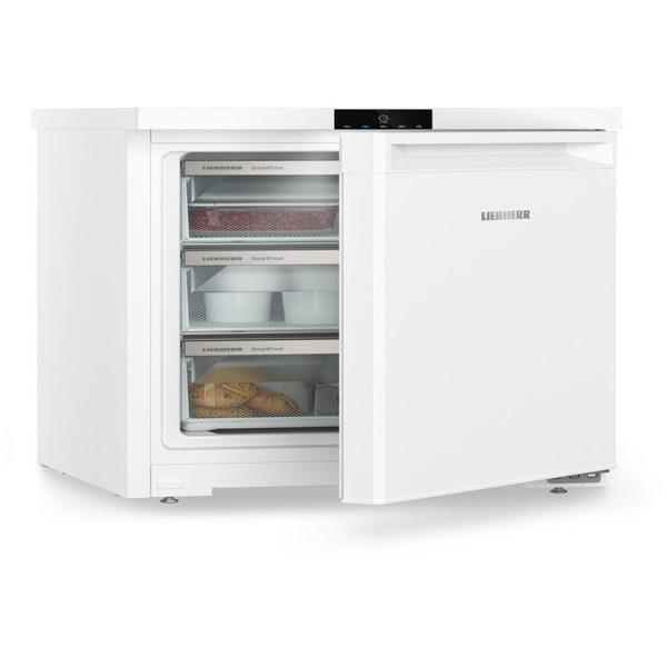 LIEBHERR Gefrierschrank Fe 1003_994789951